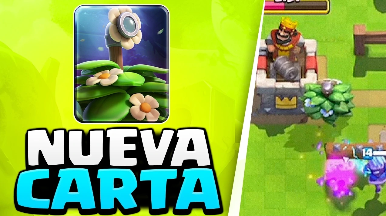 Arbusto sospechoso en Clash Royale